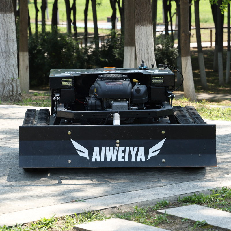 Customized High Power Remote L - Snow Blower Single 评论和价格